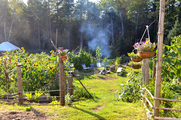 Peaceful garden area with benches and blooming flowers near the farmhouse.