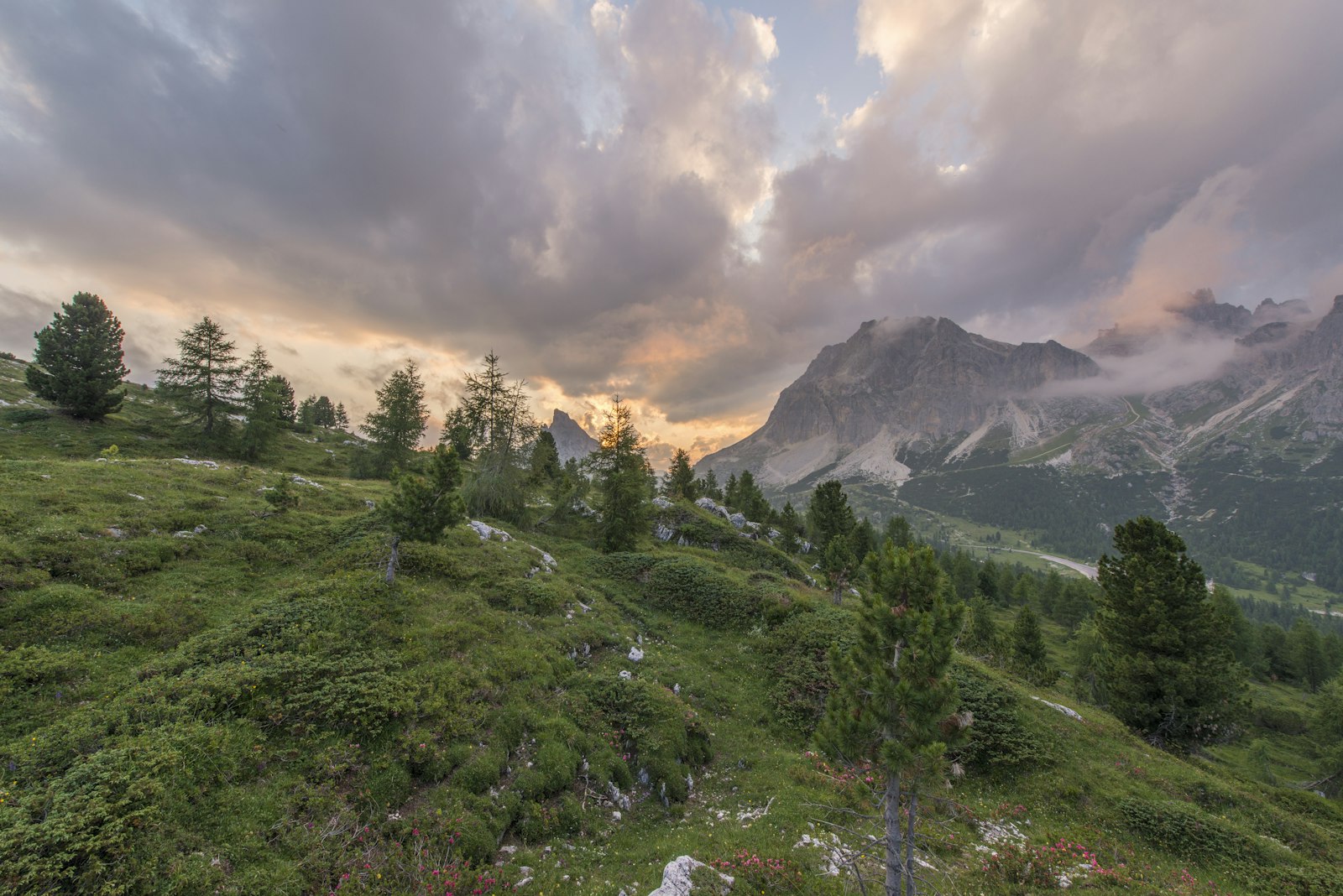 Nikon AF-S Nikkor 14-24mm F2.8G ED sample photo. Fog covered mountains photography