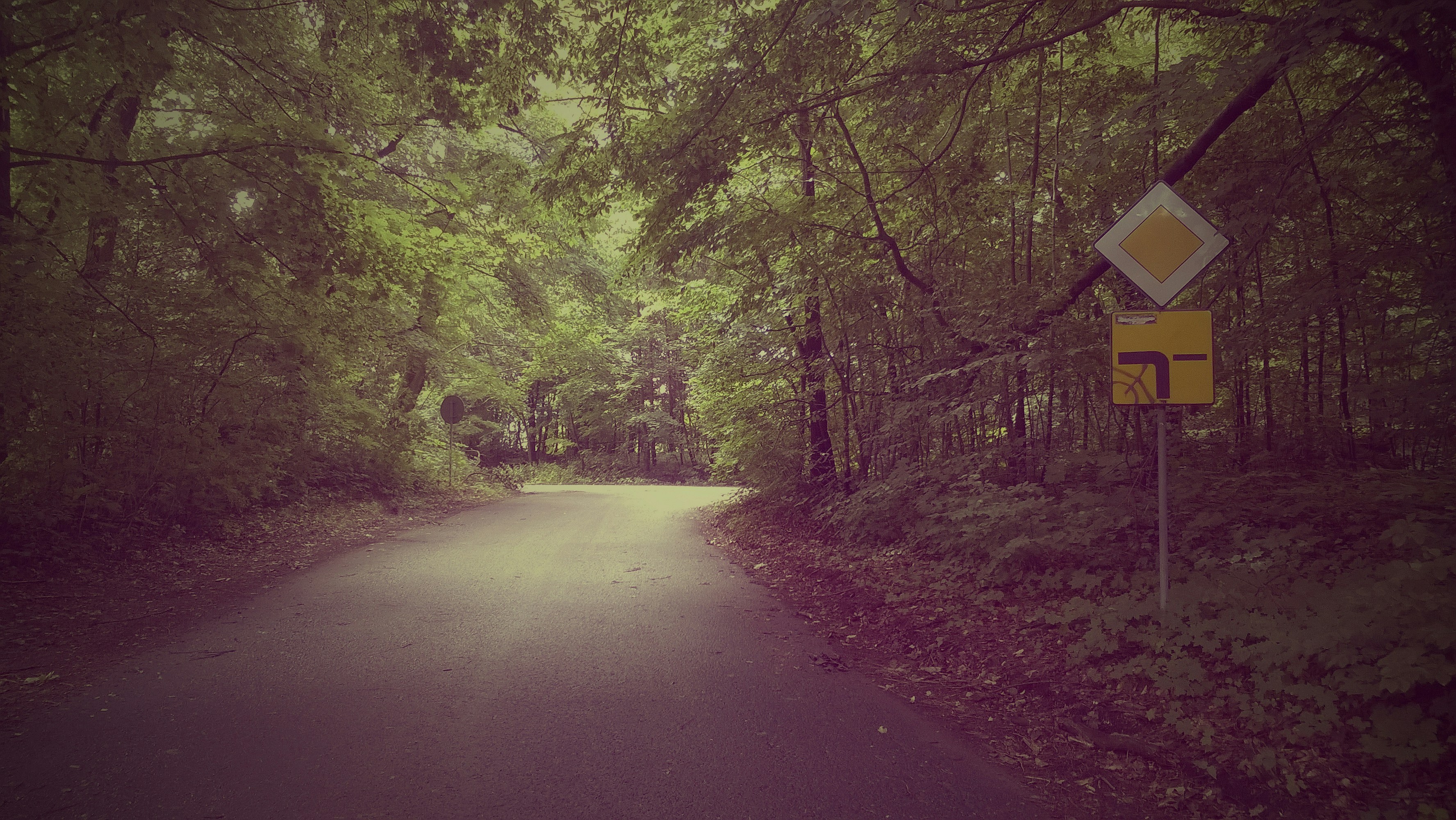 Free Unsplash photo from Mikołaj Biel