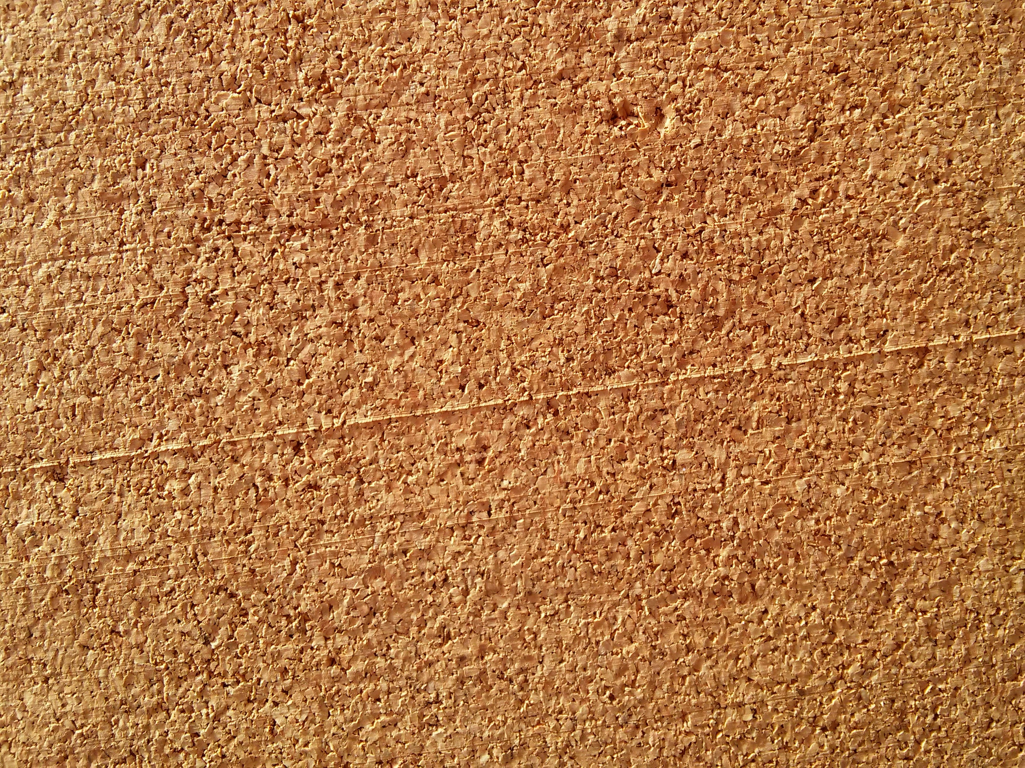 Free Unsplash photo from Grzegorz Wiktorowski