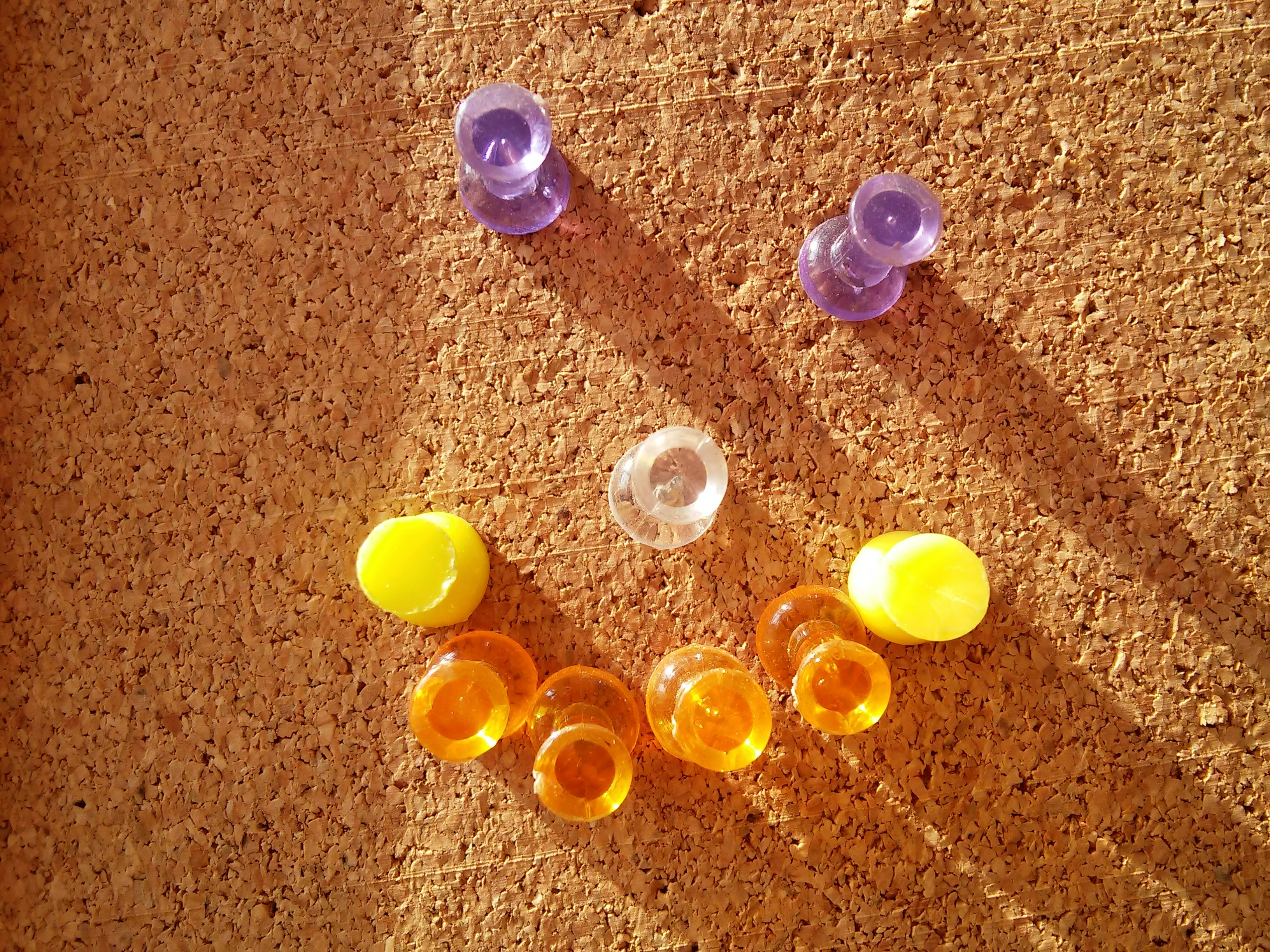 Free Unsplash photo from Grzegorz Wiktorowski