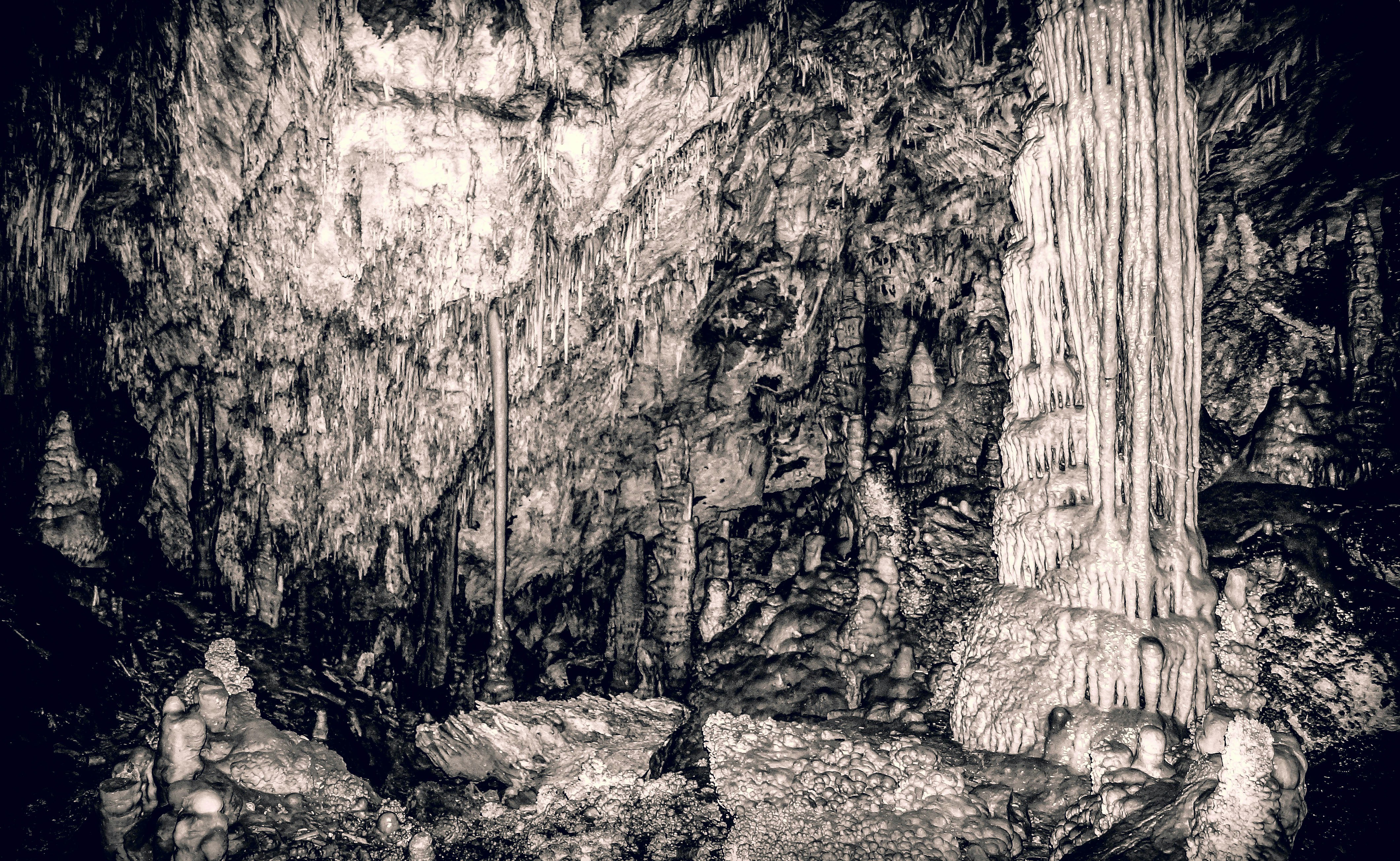 Free Unsplash photo from CJ Williams