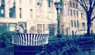 A squirrel is perched on top of a trash can, nibbling on a snack. The scene takes place in an urban park area with benches and a blurred background consisting of buildings and trees.