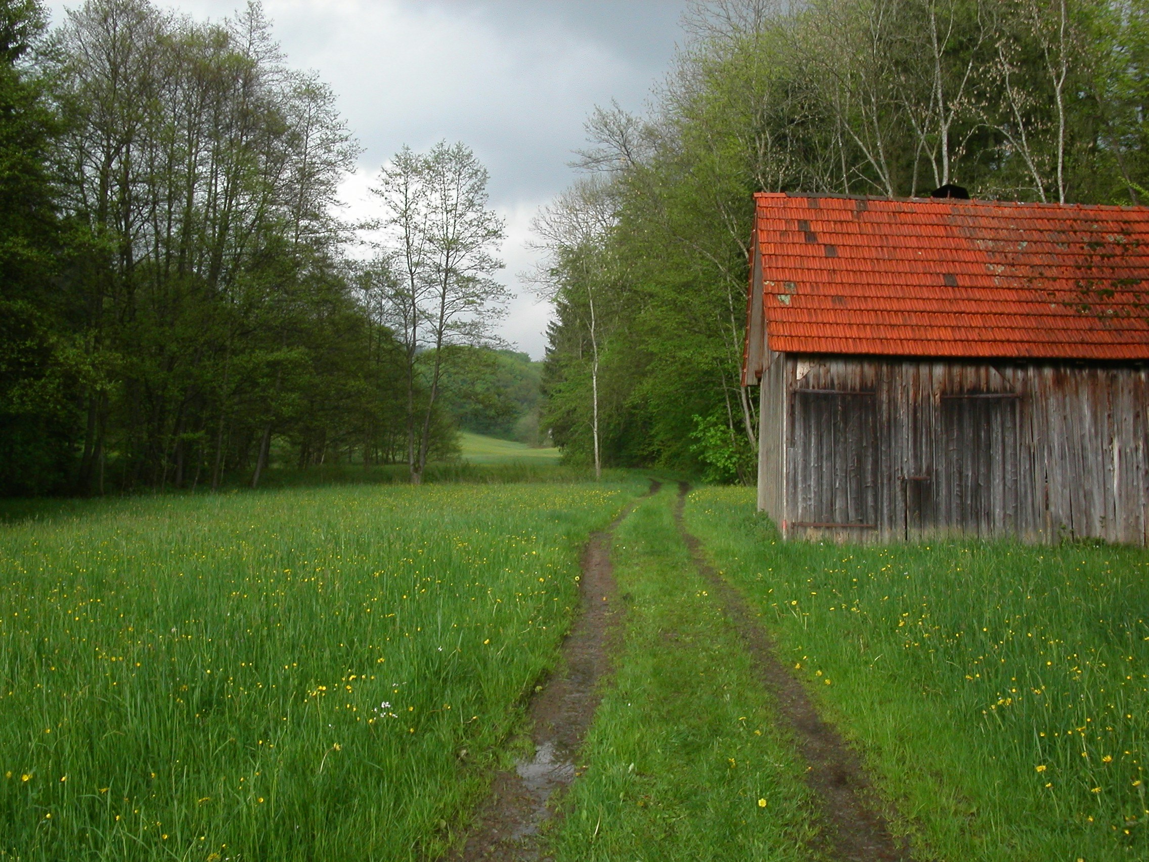 Free Unsplash photo from Joachim Häfner