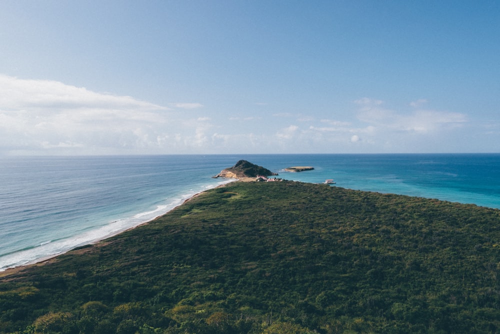 Photographie aérienne de l’île verte entourée d’eau