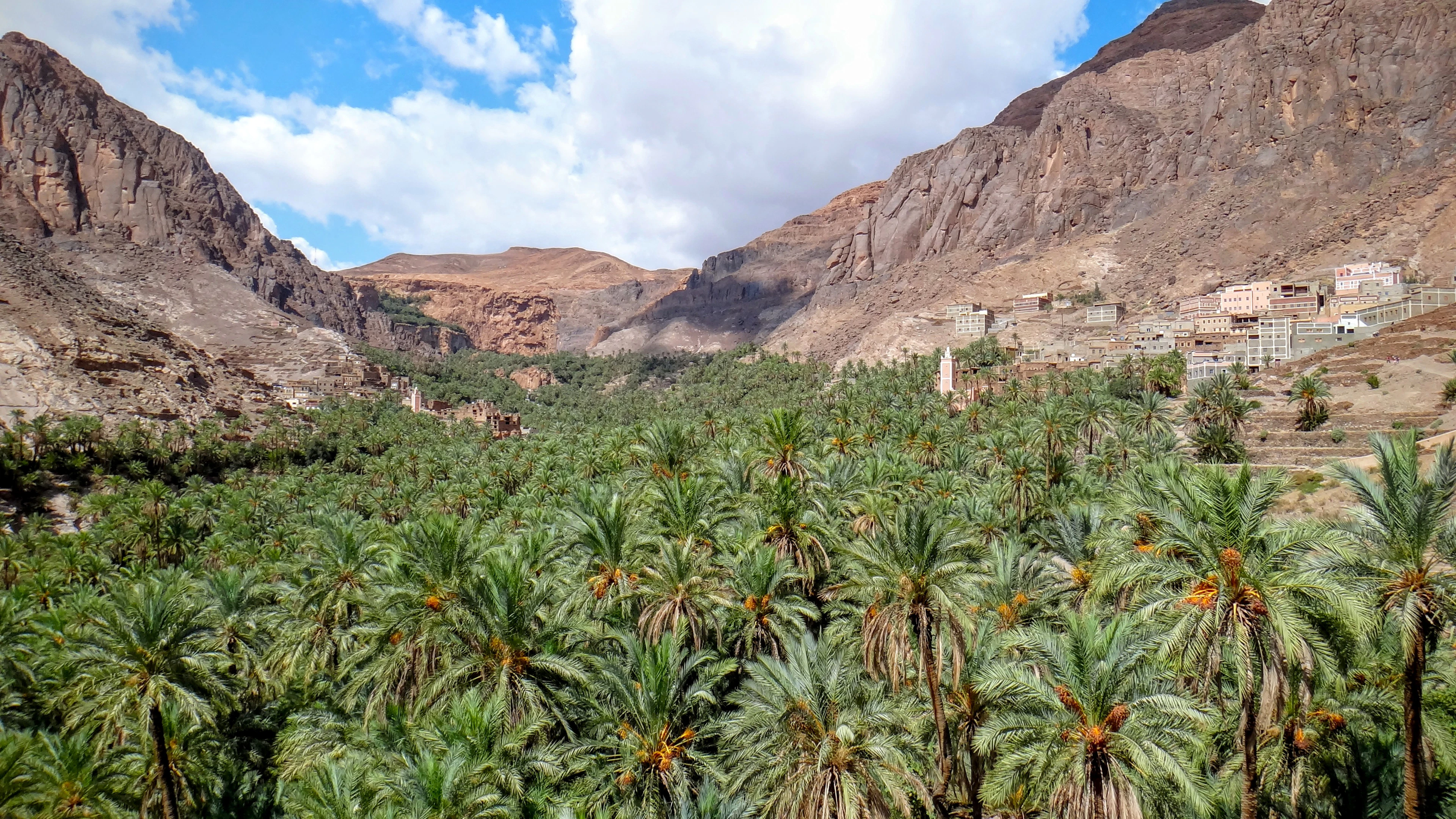 Paradise Valley Near Agadir: Natural Pools, Hiking and How to Get There