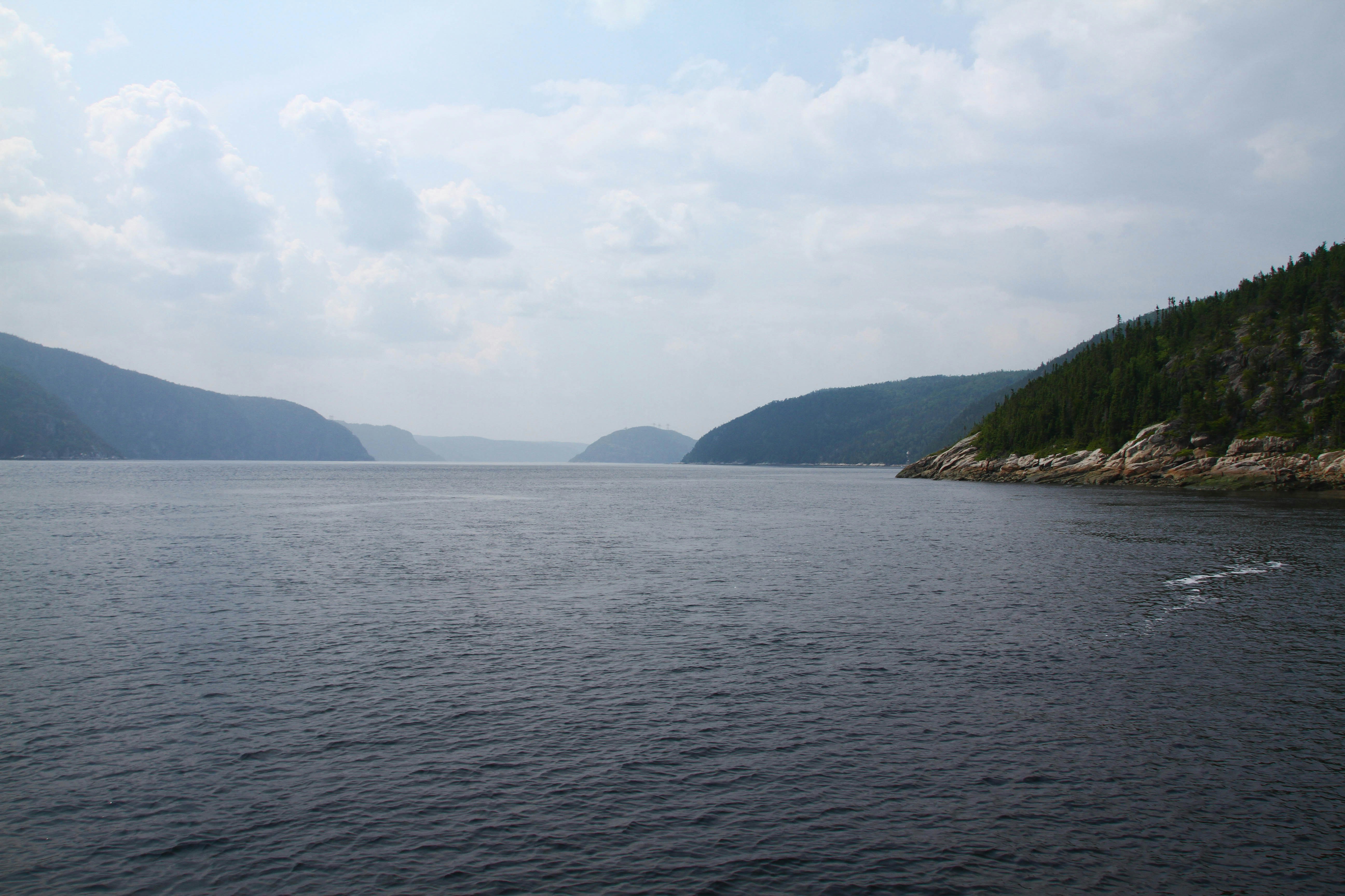 Free Unsplash photo from Anaïs kowalczyk