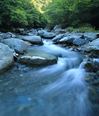 body river surrounded by dress