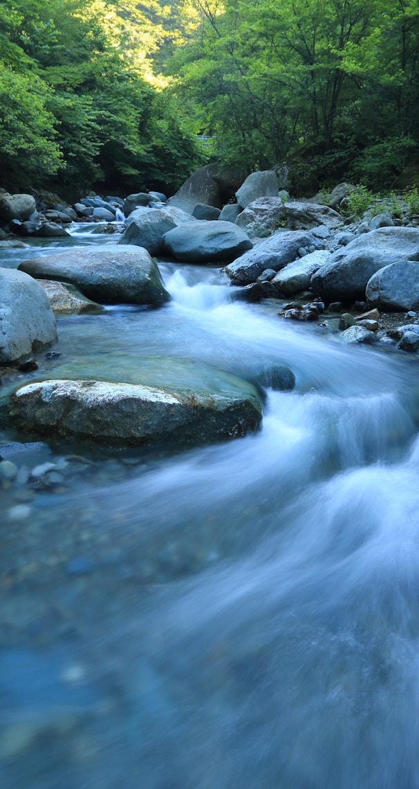 body river surrounded by dress