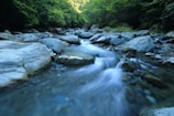 body river surrounded by dress