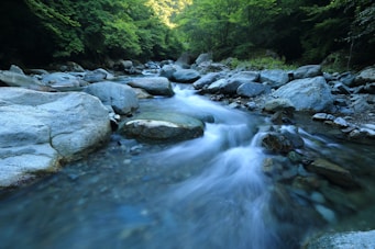 body river surrounded by dress