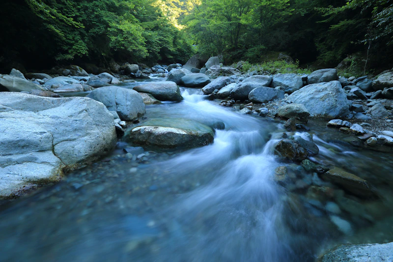 Aliran sungai jernih
