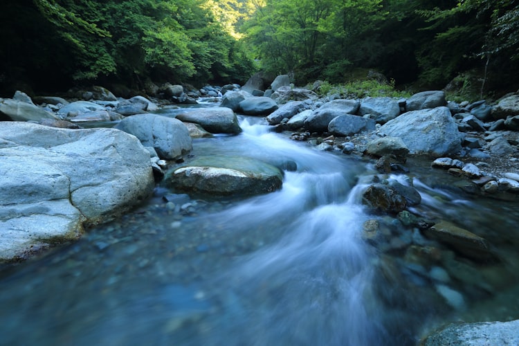 A shallow river with large boulders and lush green vegetation.