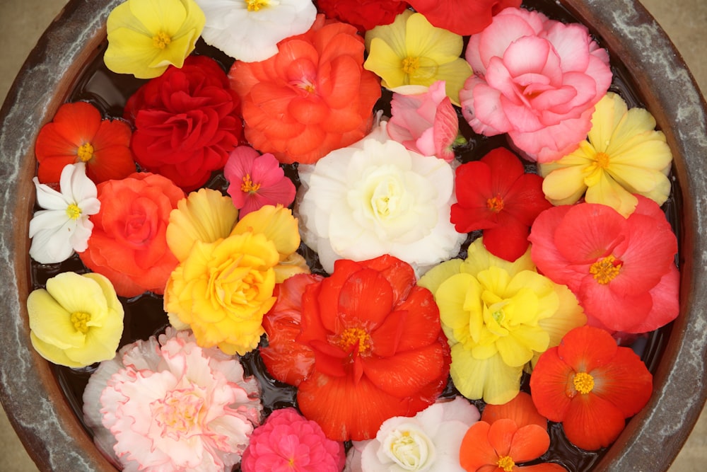 fleurs de couleurs assorties
