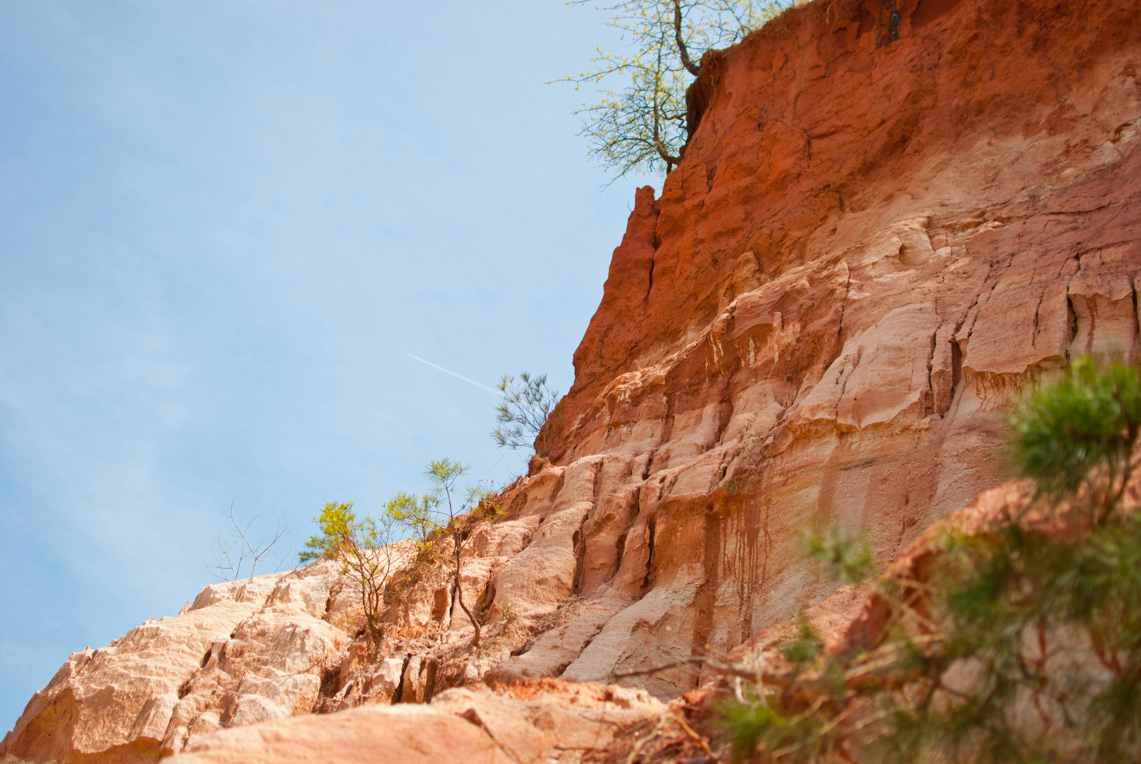 Free Unsplash photo from Kayla Coons