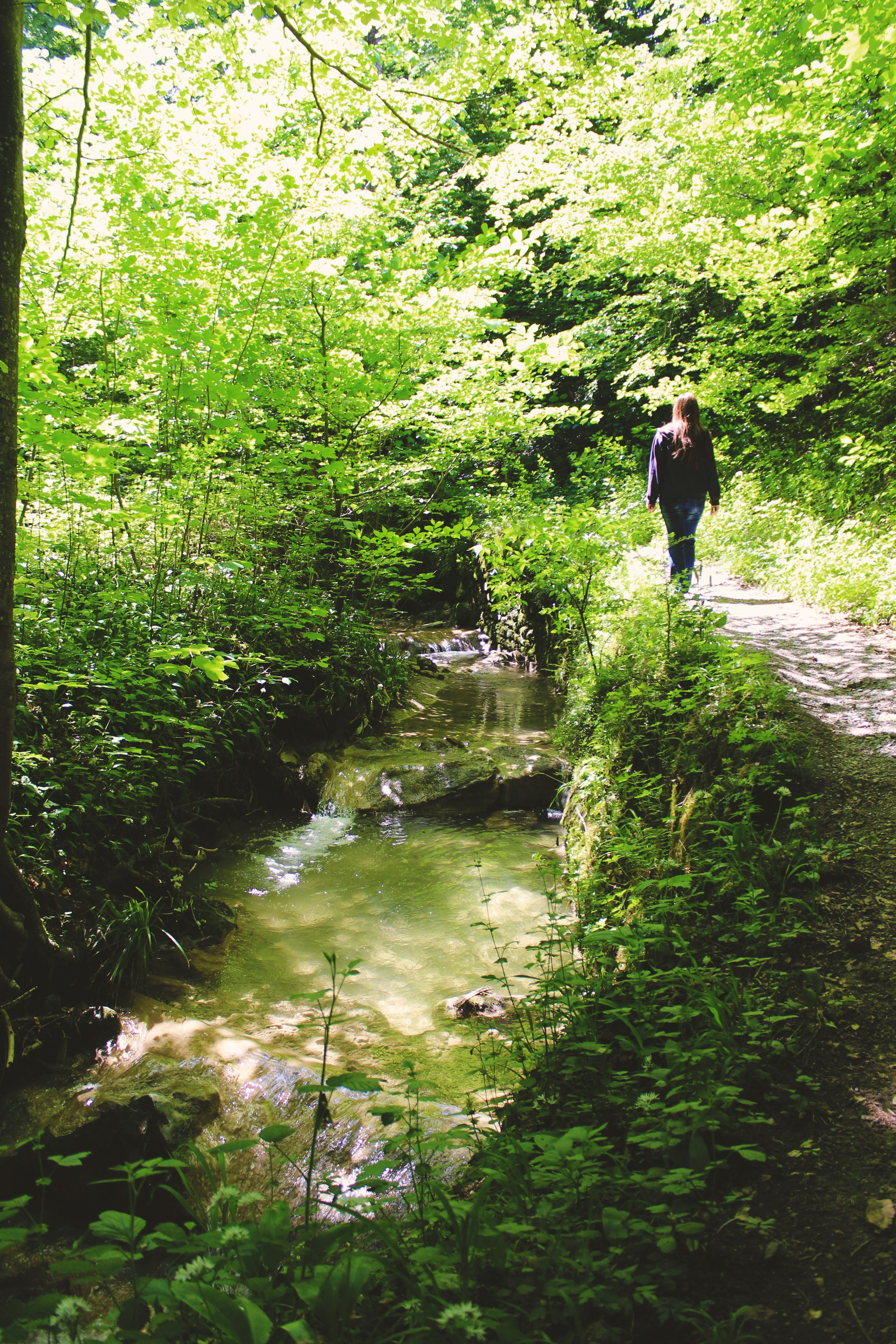 Free Unsplash photo from Susy Drake