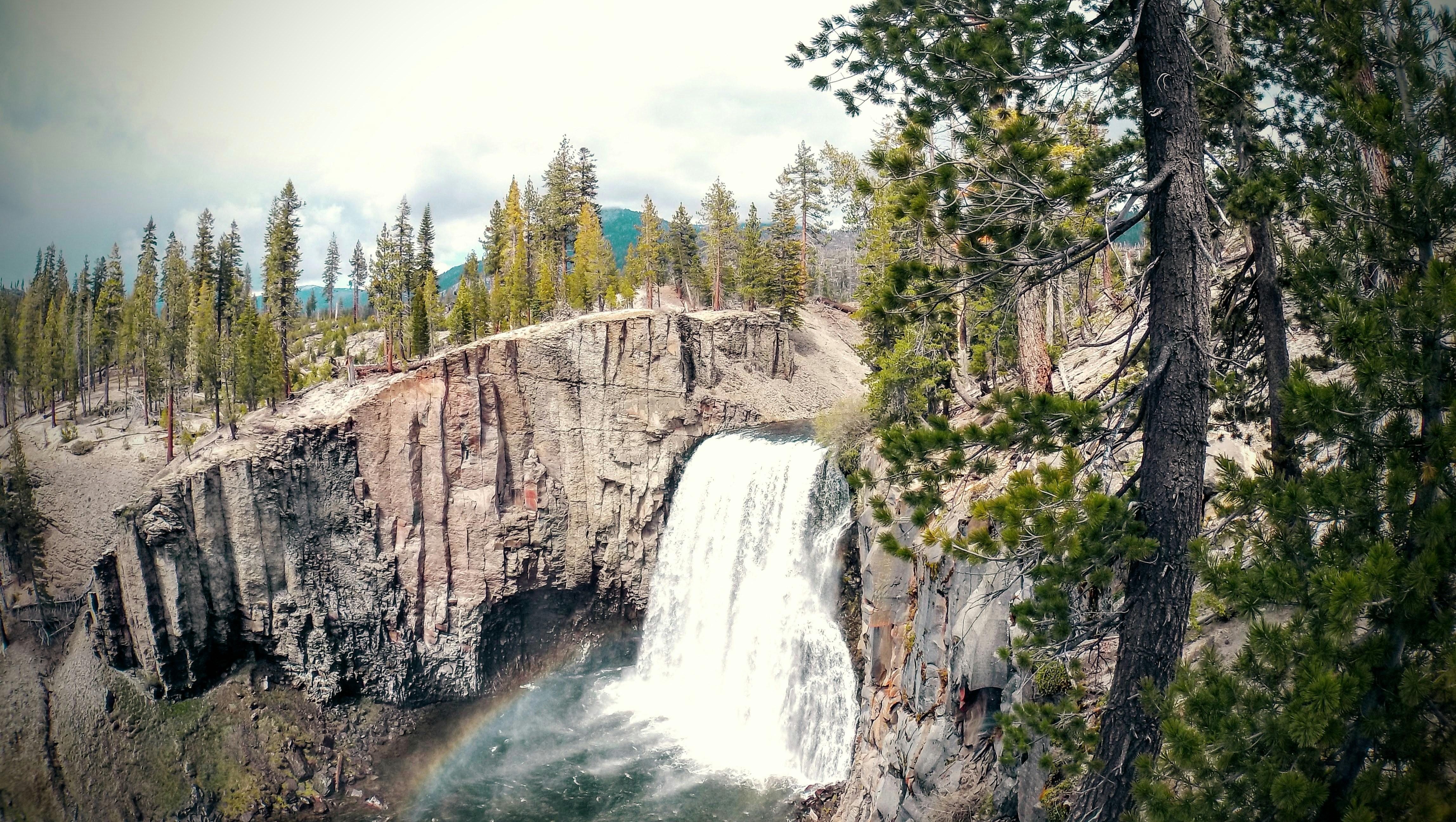 Free Unsplash photo from Roy Vergara