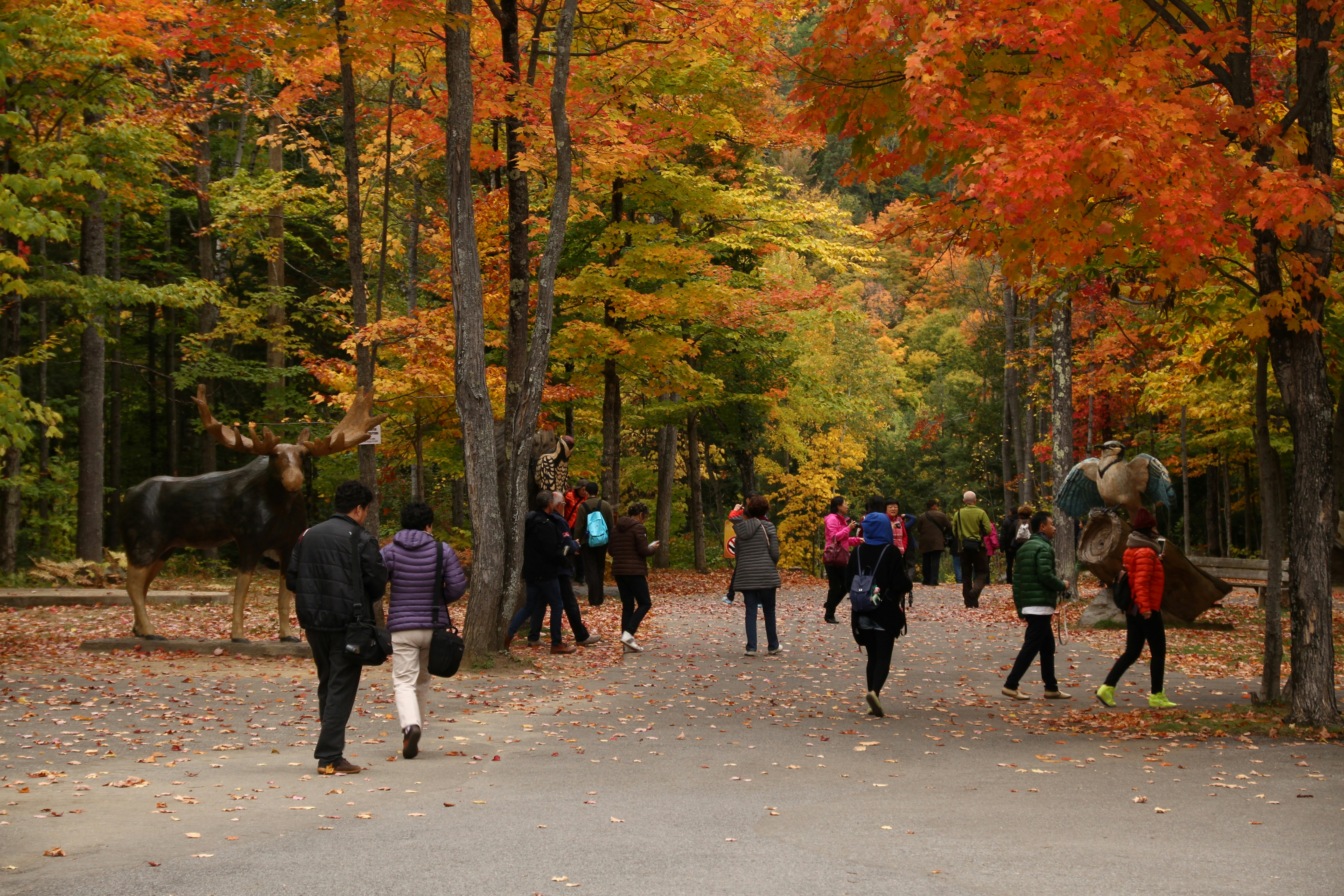 Free Unsplash photo from Anaïs kowalczyk