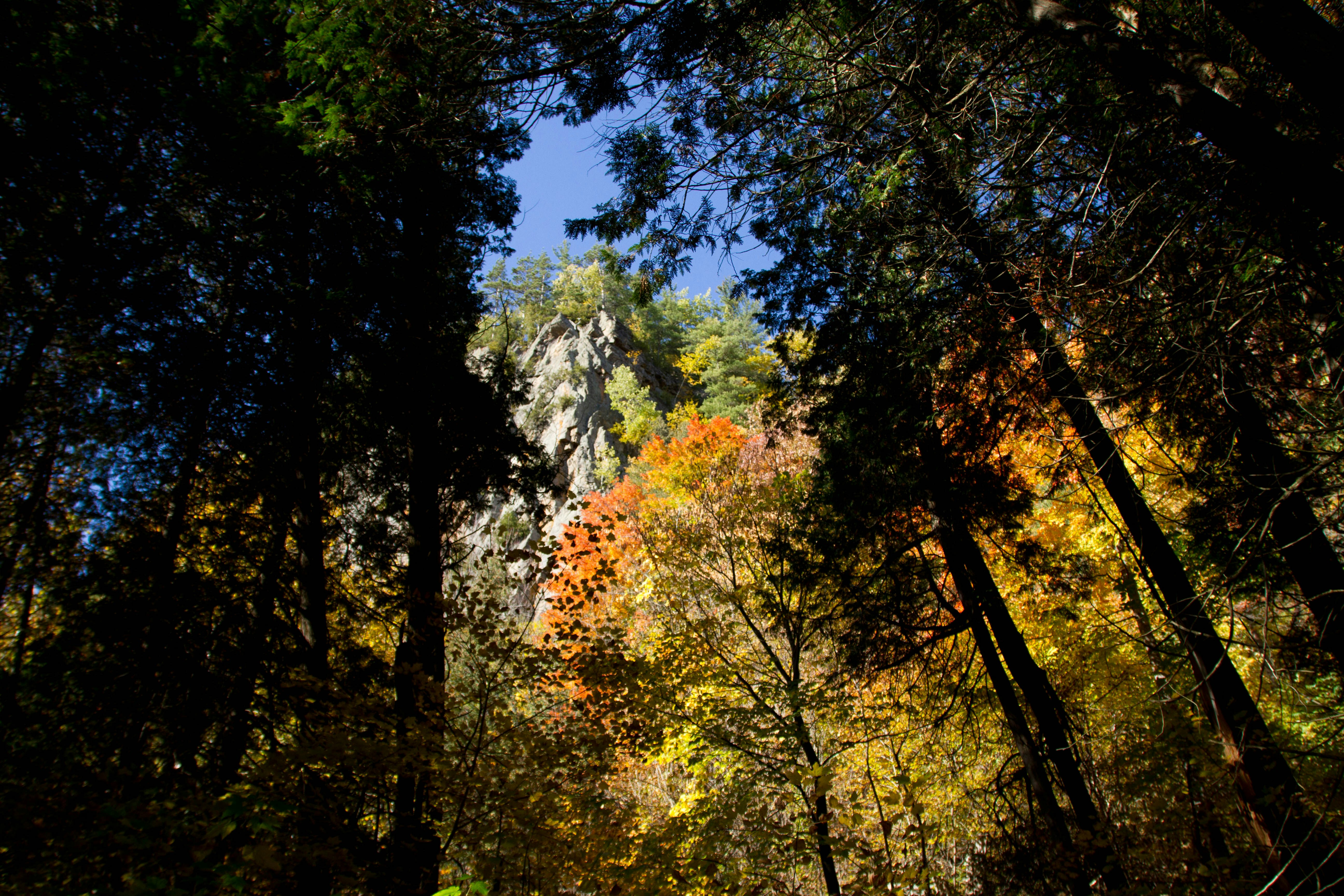 Free Unsplash photo from Anaïs kowalczyk