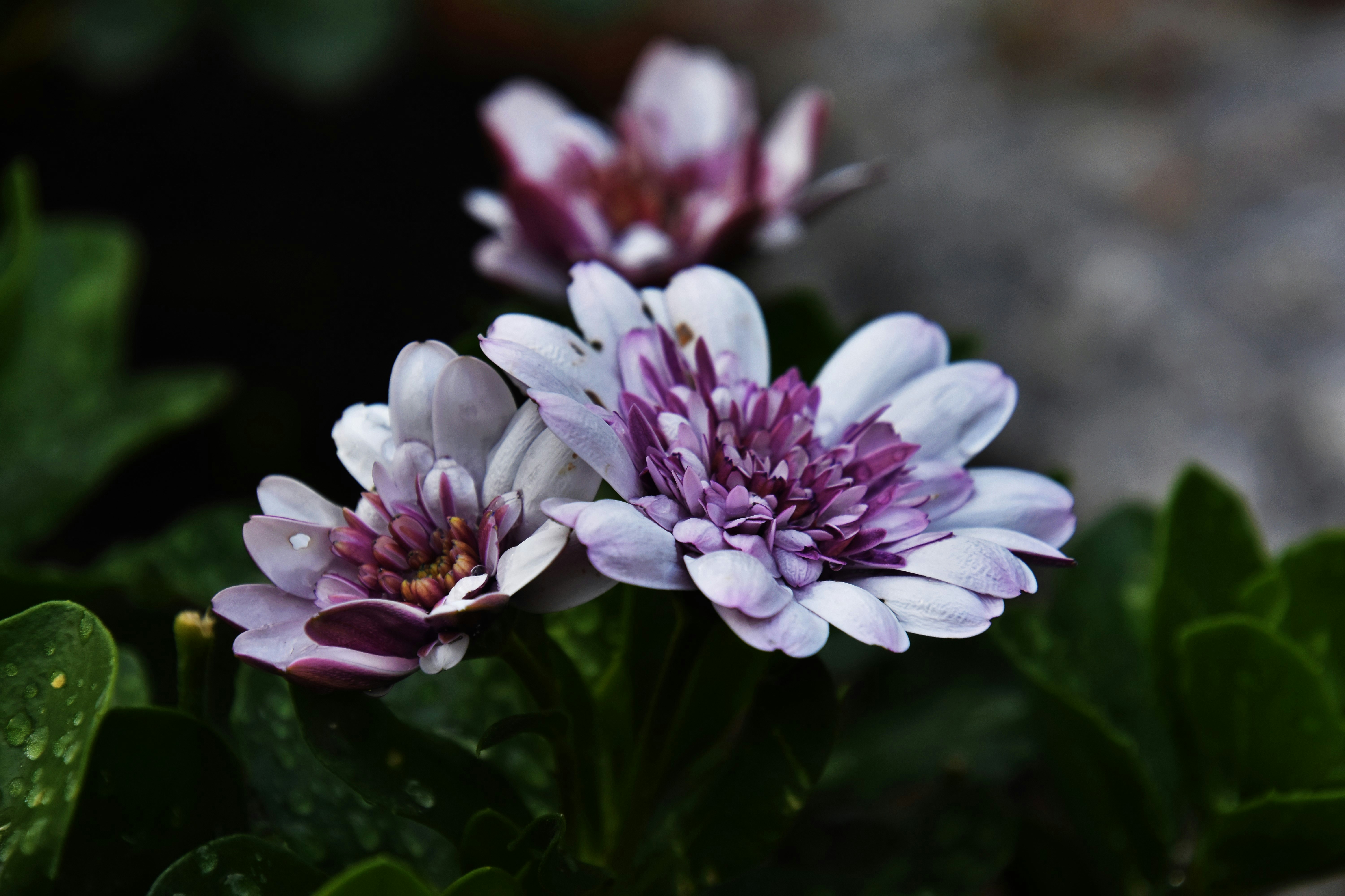 Free Unsplash photo from Mathias  Herheim