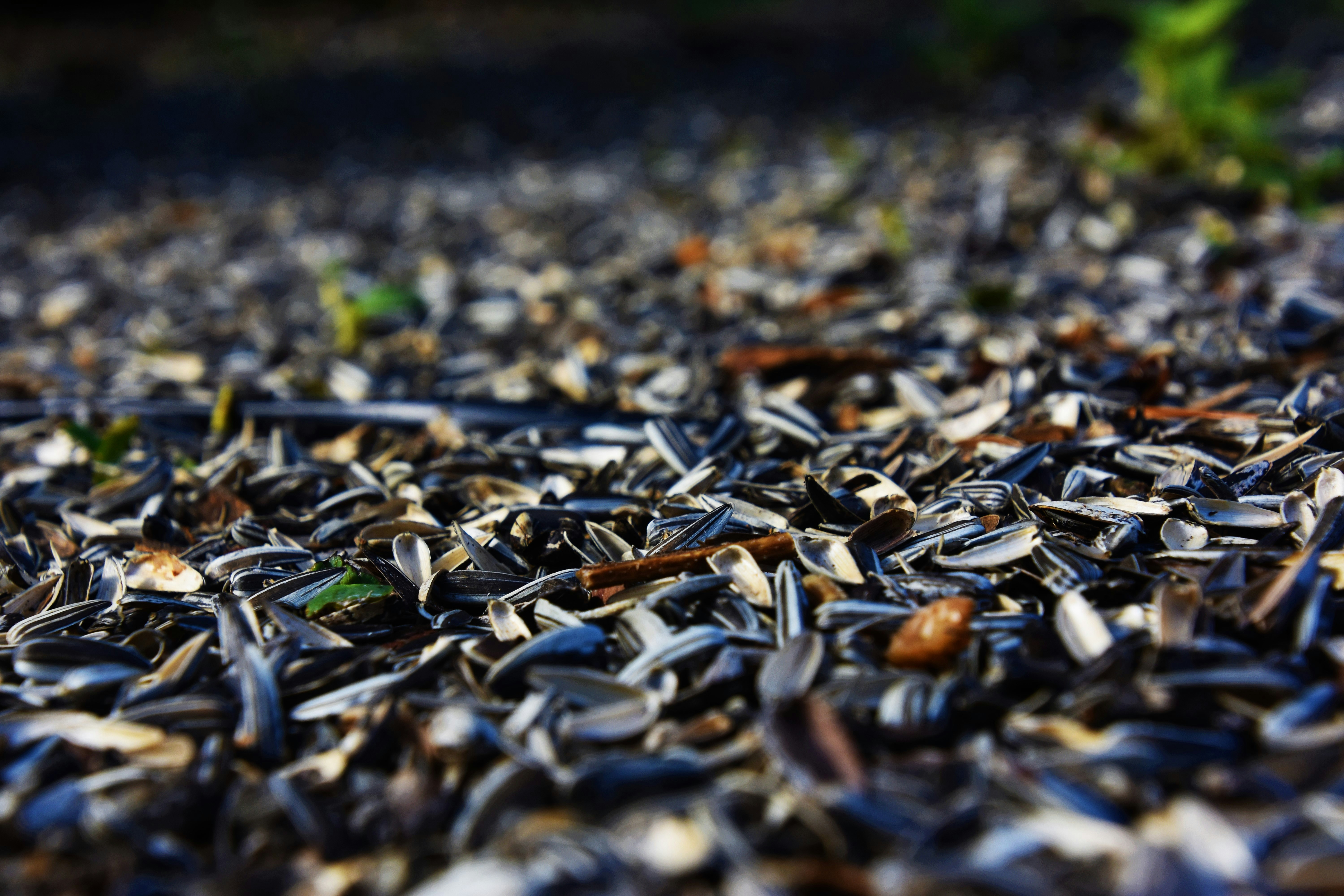 Free Unsplash photo from Mathias  Herheim