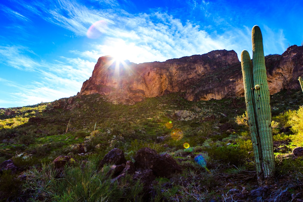 Campo de hierba verde cerca de Brown Mountain bajo el cielo azul durante el día