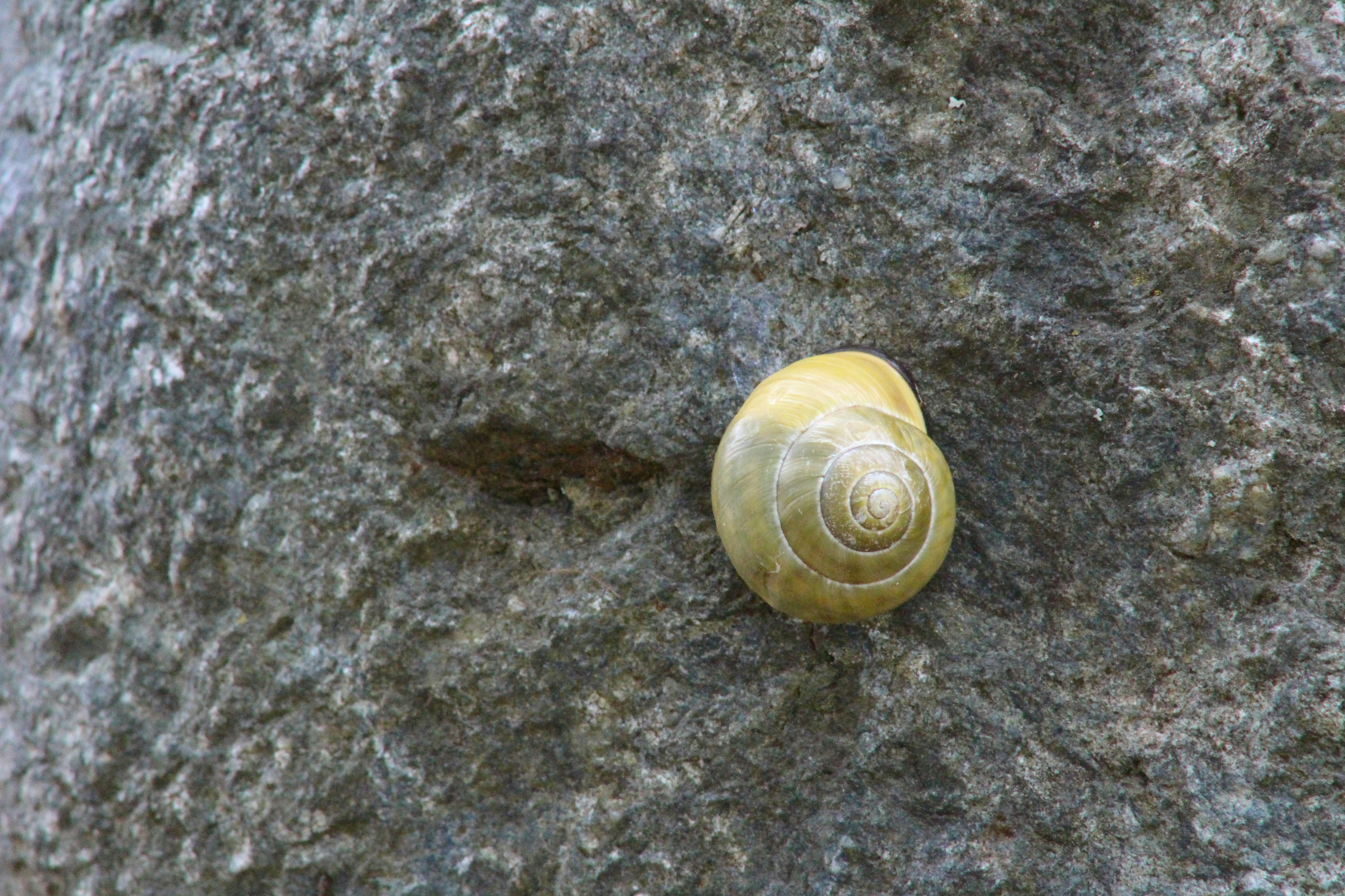 Free Unsplash photo from Aaron Brink