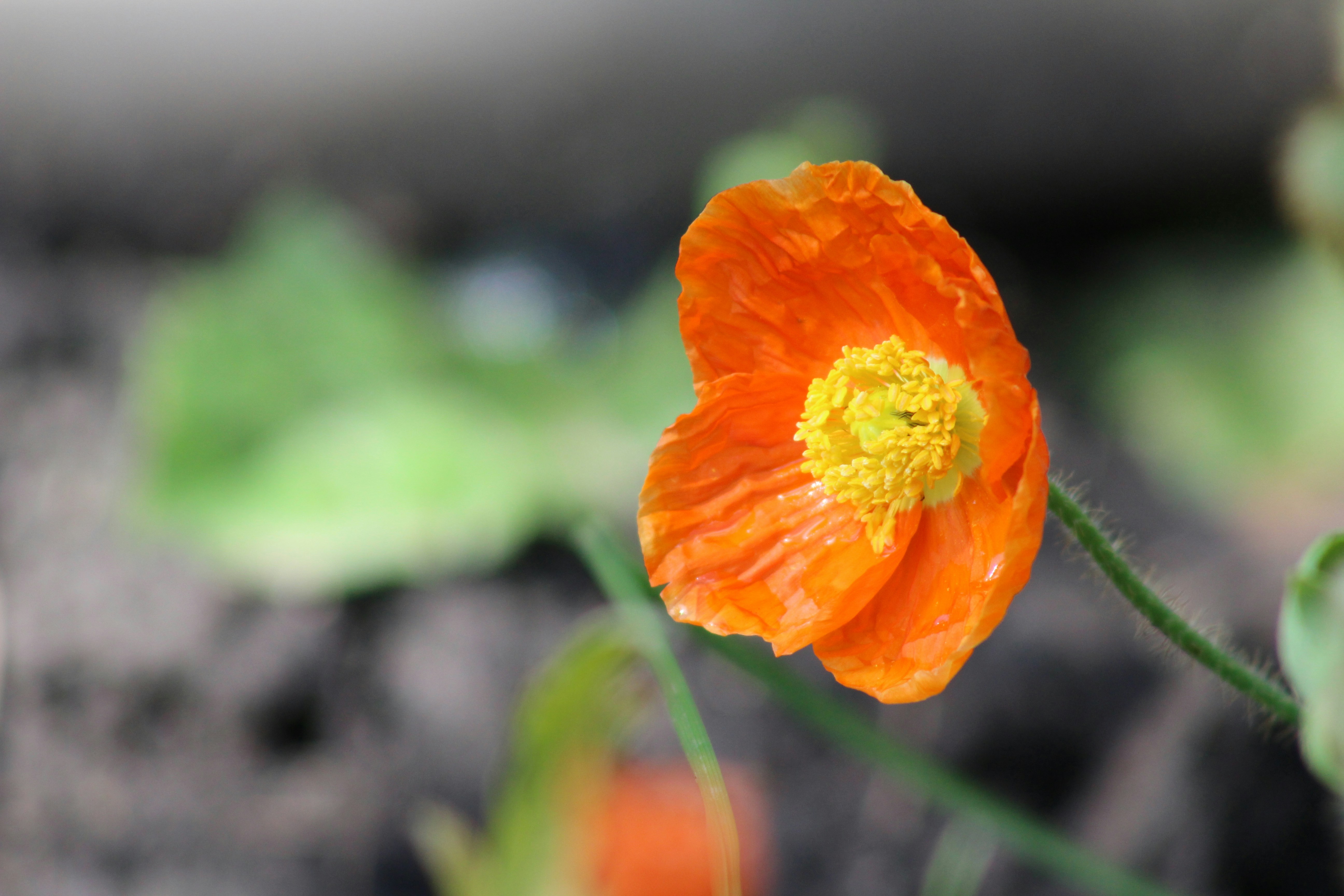 Free Unsplash photo from Aaron Brink