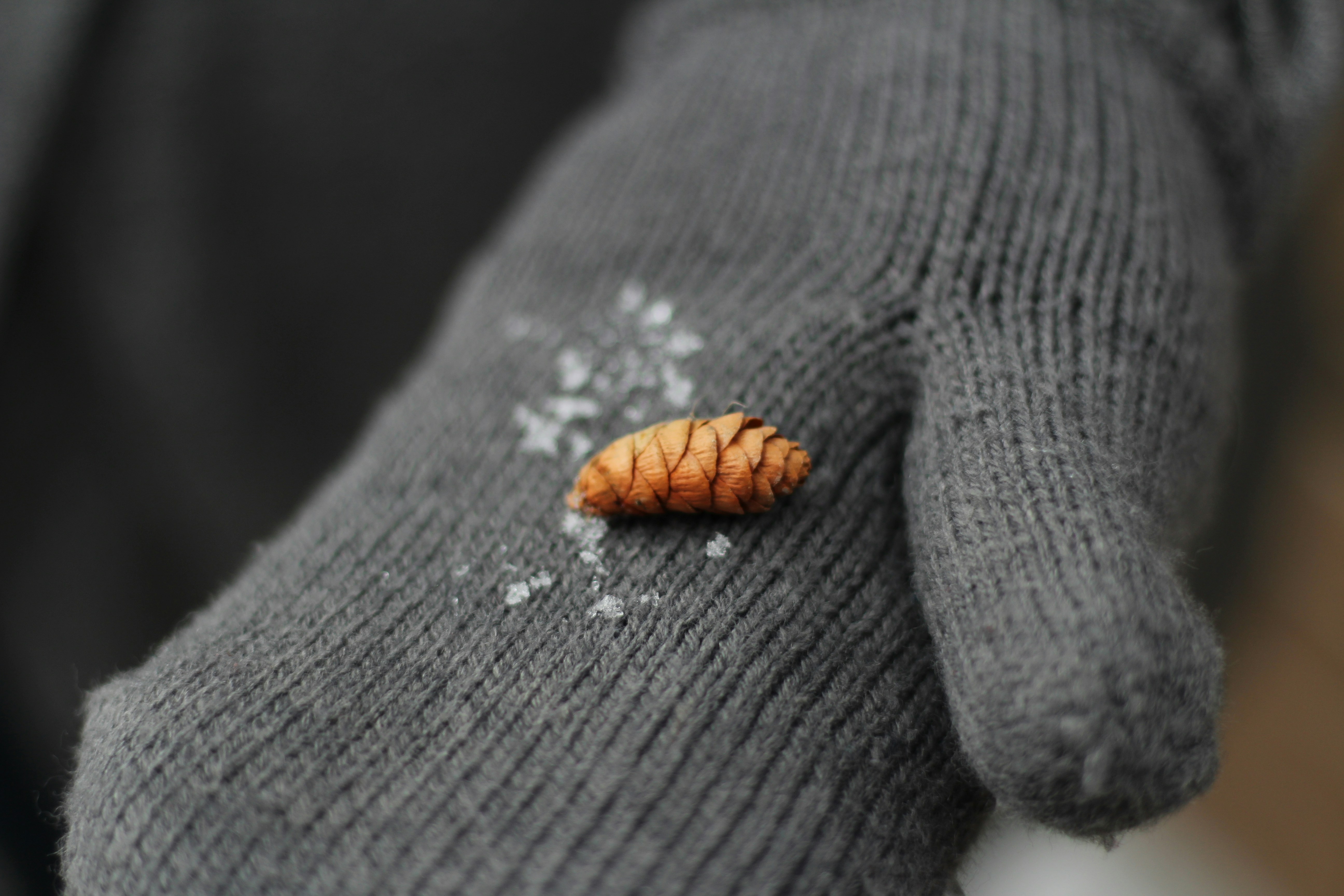 Free Unsplash photo from Aaron Brink