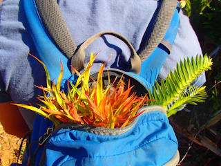 A spacious backpack open to reveal organized compartments and vibrant fabric.