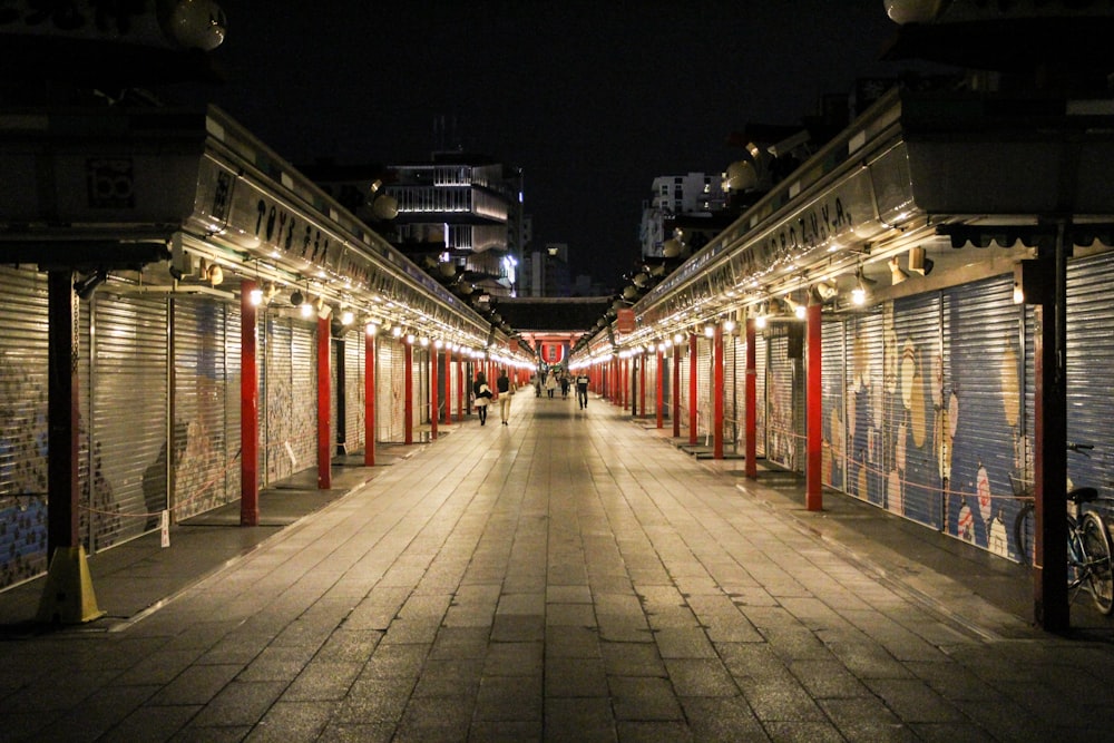 empty pathway beside stores with roll top doors at night time