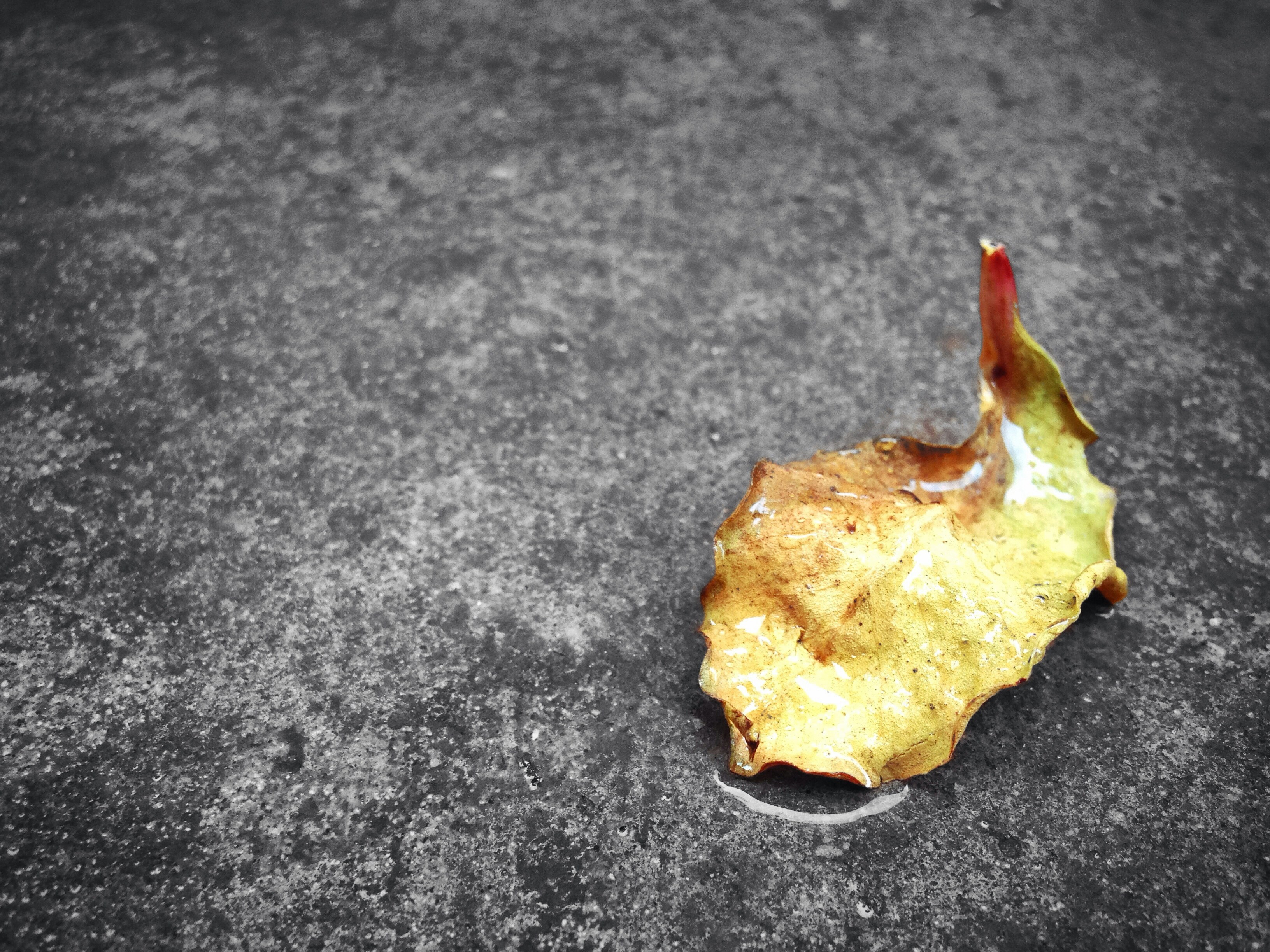 Free Unsplash photo from BÙI LÊ HIẾU