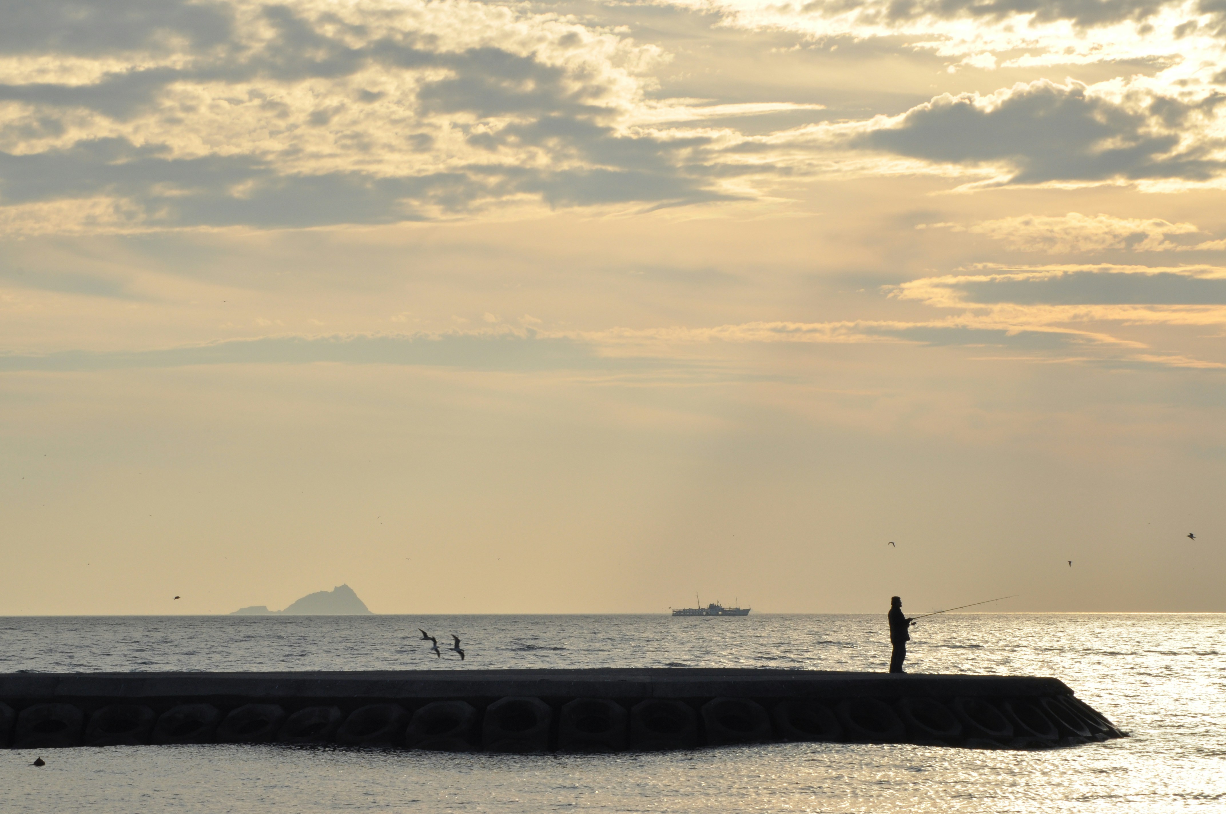 Free Unsplash photo from Ersin Çelik