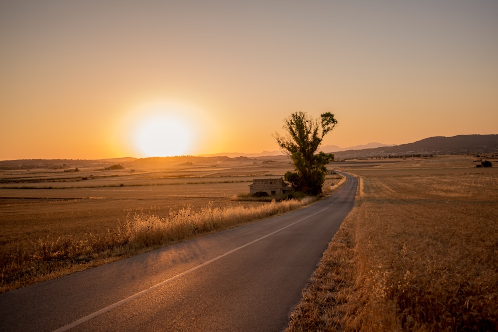 gray concrete road between brown grass during daytime