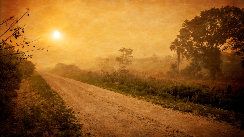 Fotografía sepia de camino de tierra