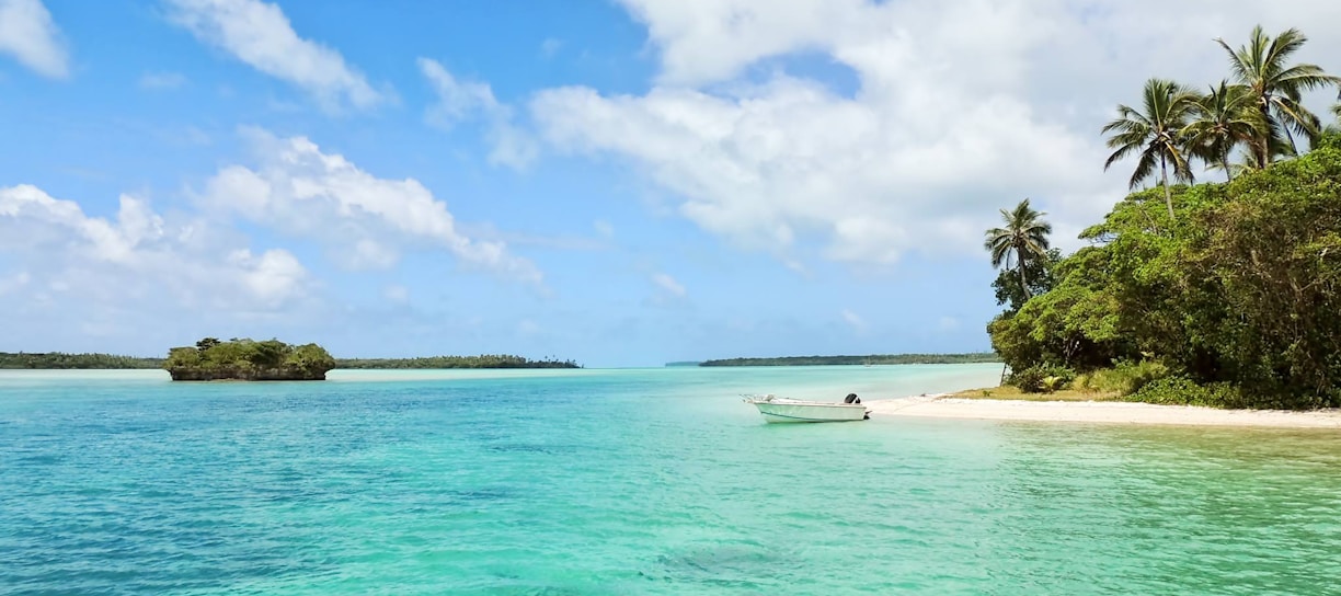 white boat on body of water near green palm trees