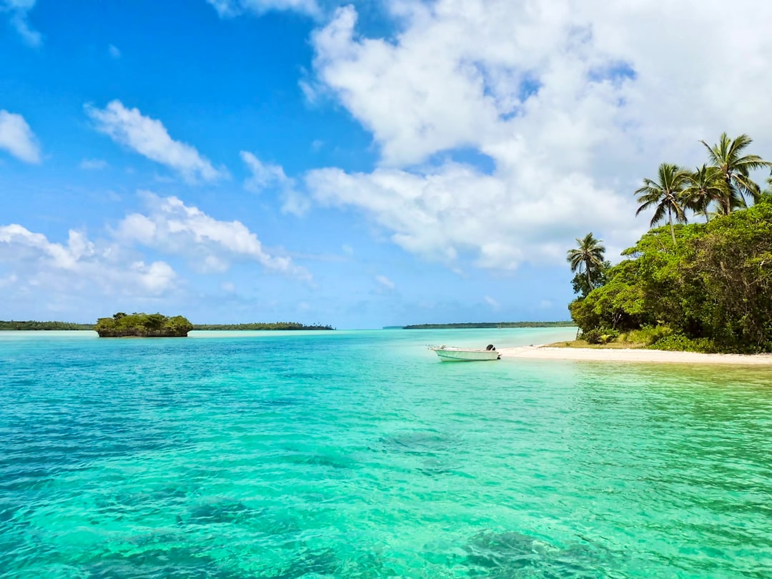 white boat on body of water near green palm trees