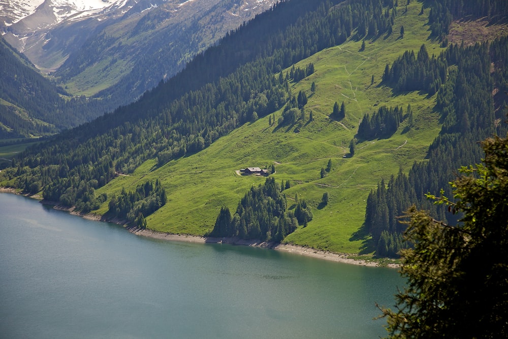 Luftaufnahme einer grünen Rasenwiese in der Nähe eines Gewässers