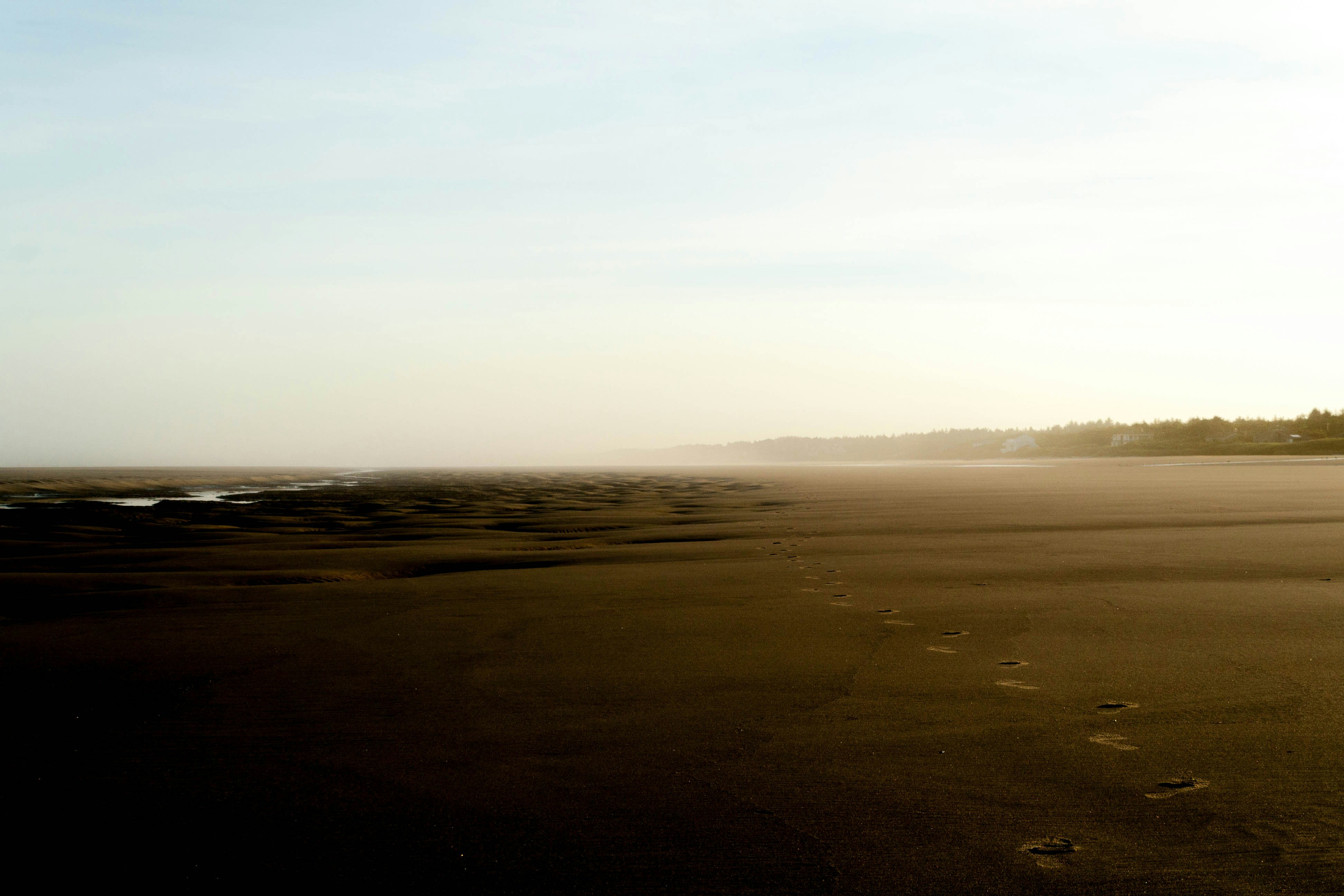 Free Unsplash photo from Lukas Robertson