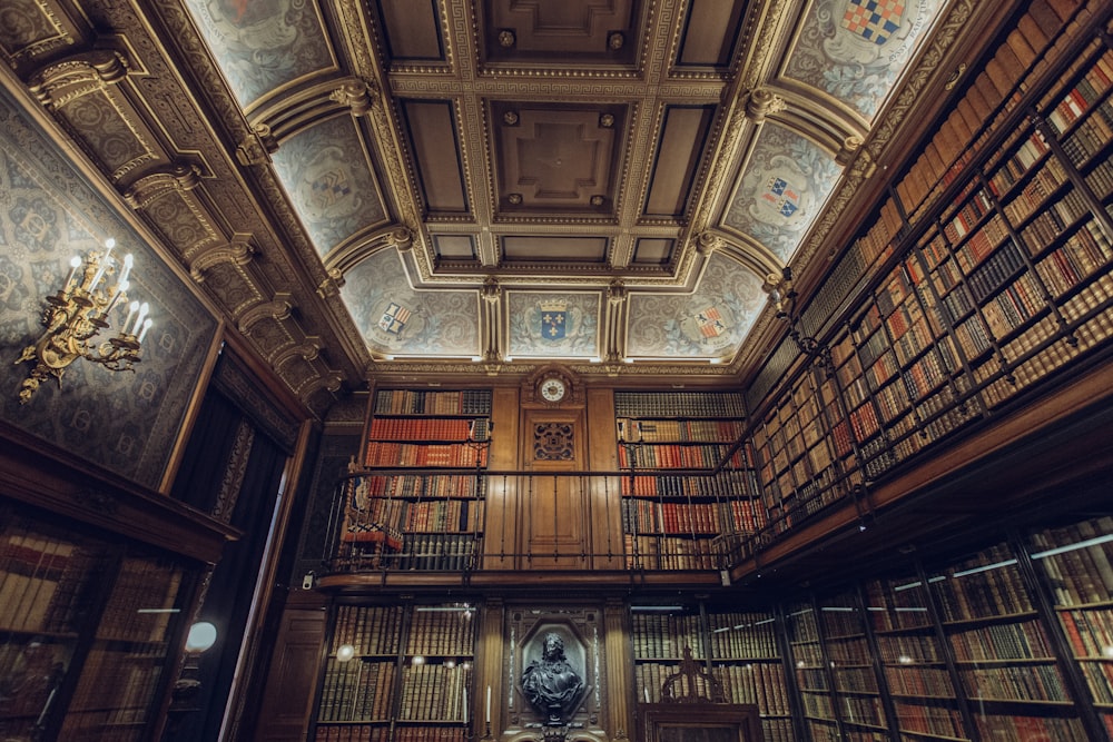 Foto dell'interno della biblioteca