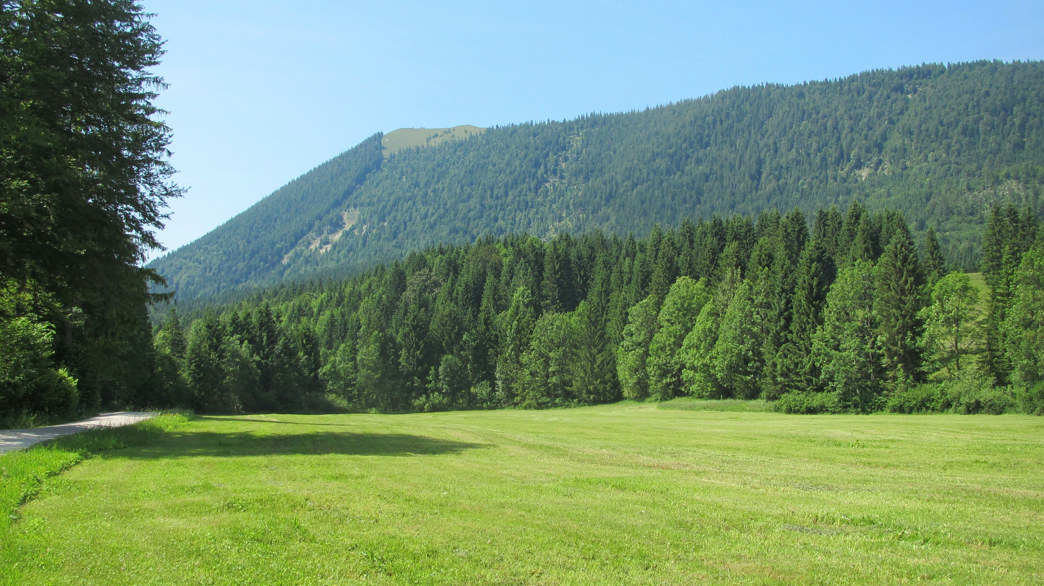 Free Unsplash photo from Alan Medeiros