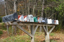 Colorful mailboxes lined up on a sunny suburban street, ready for EDDM flyers.
