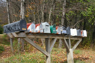A row of multiple mailboxes, each with different colors and labels, is mounted on a wooden structure. The background is composed of tall trees with autumn leaves, suggesting a rural setting.