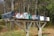 A row of multiple mailboxes, each with different colors and labels, is mounted on a wooden structure. The background is composed of tall trees with autumn leaves, suggesting a rural setting.