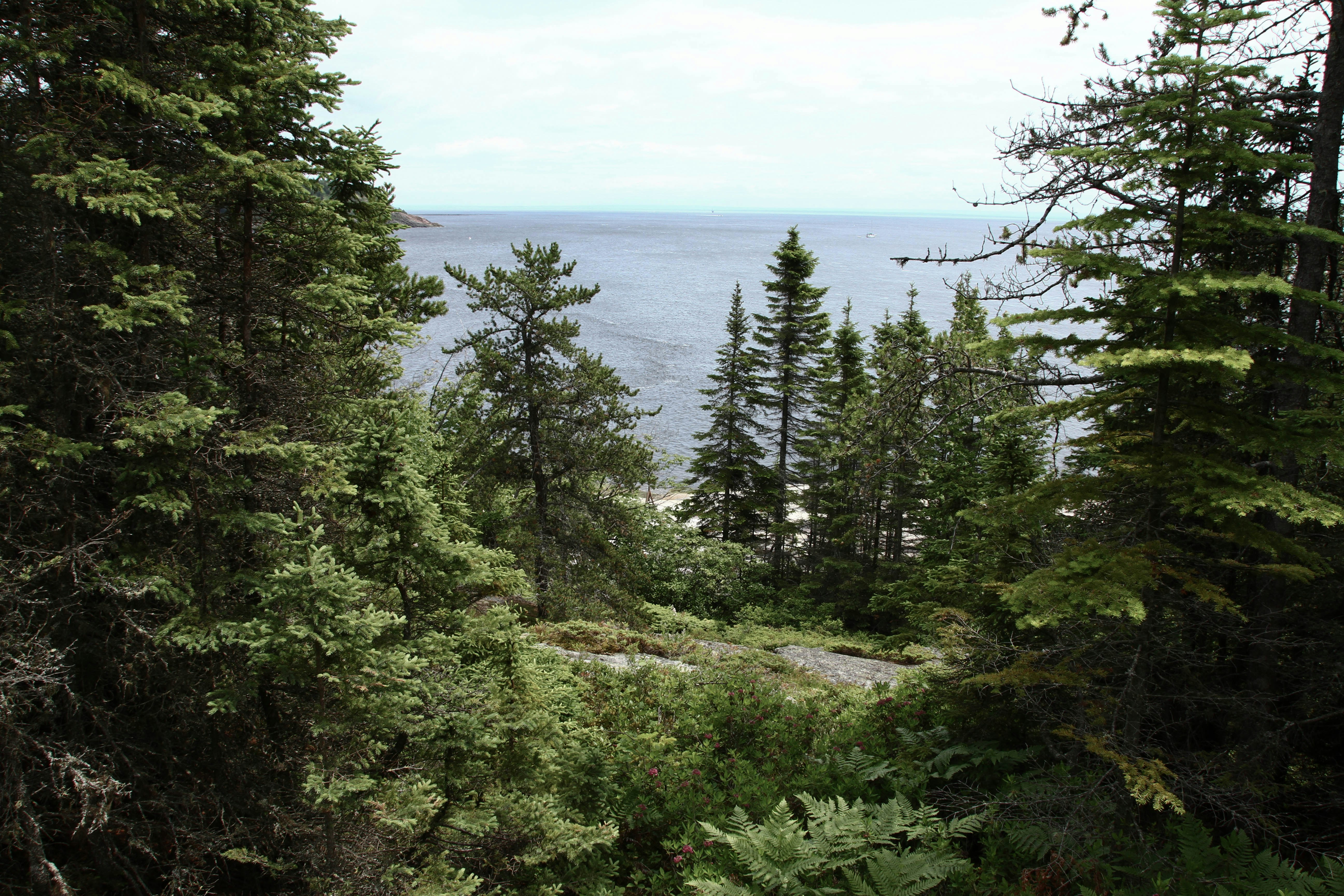 Free Unsplash photo from Anaïs kowalczyk