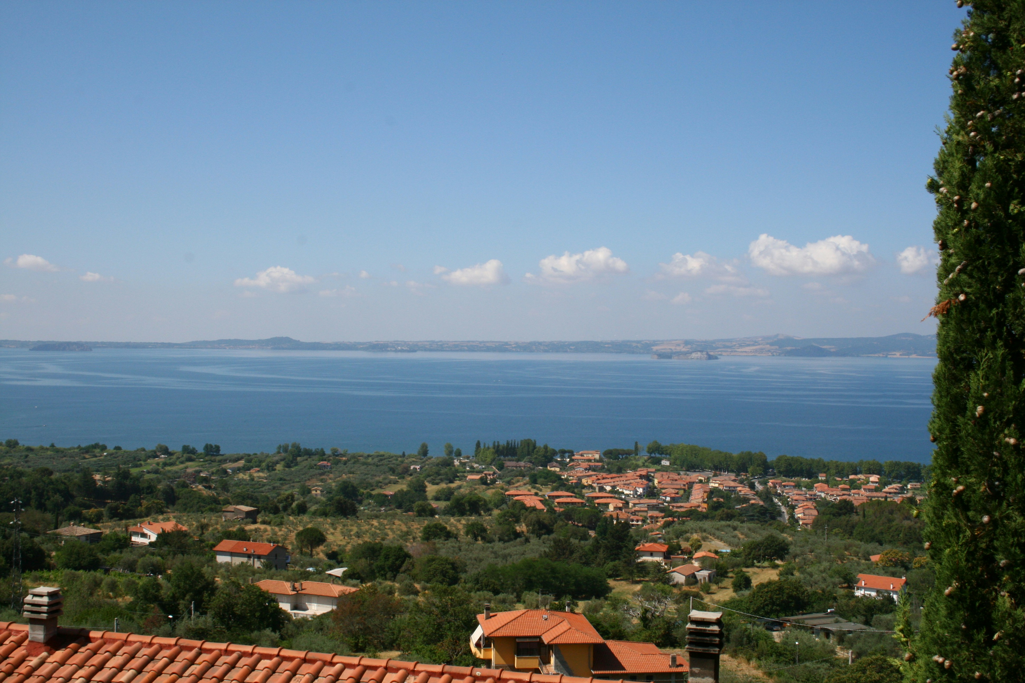 Free Unsplash photo from Arian Balthaus