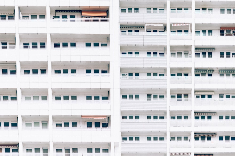 photo de paysage de fenêtres de bâtiment