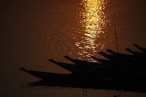Early morning practice with the sun rising over the water, casting golden light on the dragon boats lined up.