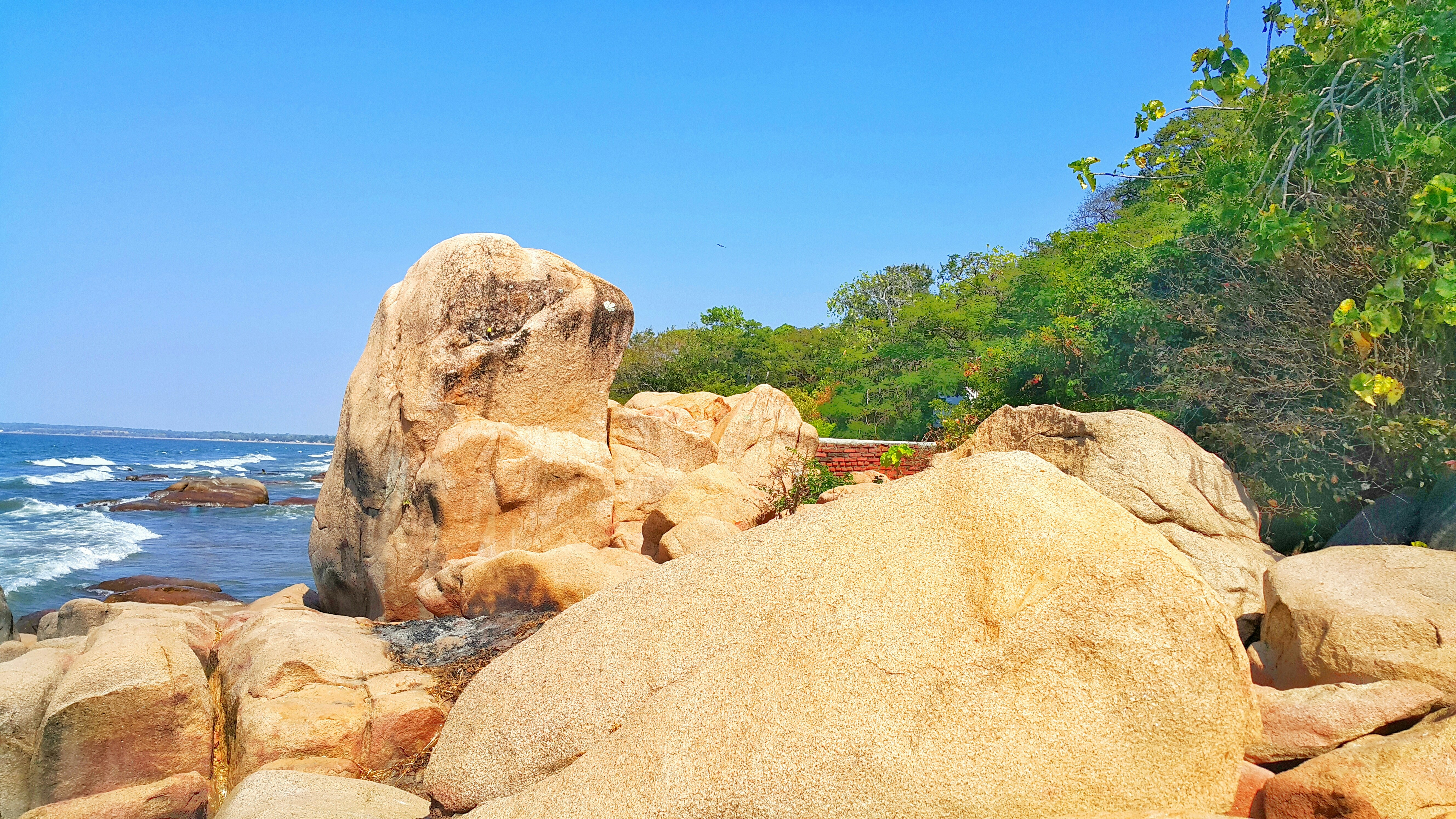 Free Unsplash photo from Ahmed Bhana