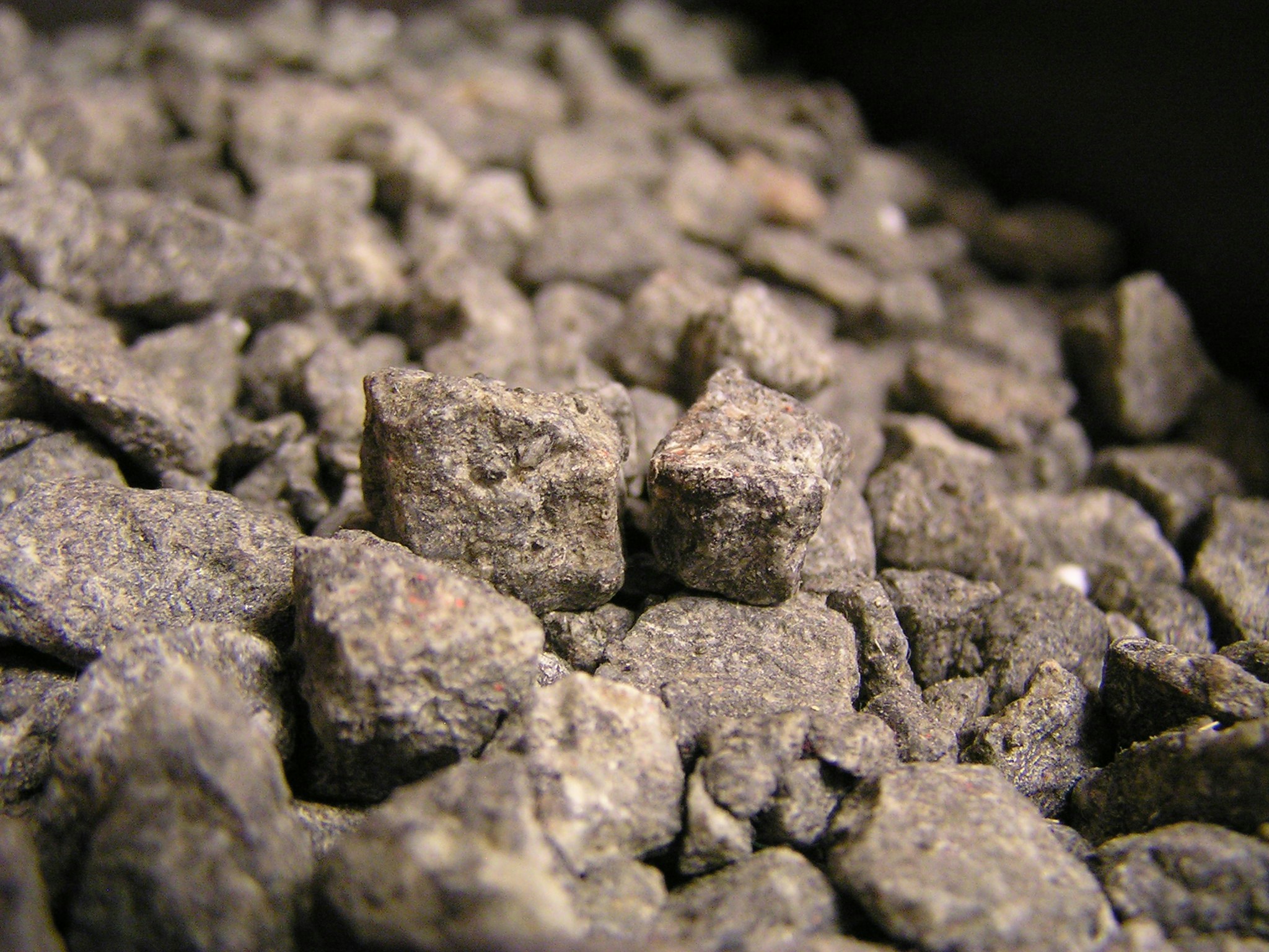 Free Unsplash photo from Andrej Naimušin